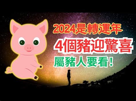 2024年豬年運程|2024年屬豬人全年整體運勢詳解